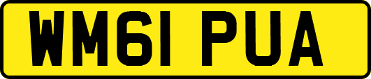 WM61PUA
