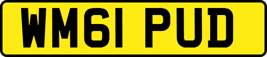 WM61PUD