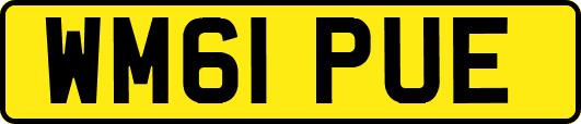 WM61PUE