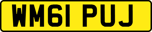WM61PUJ