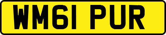 WM61PUR