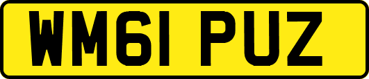 WM61PUZ