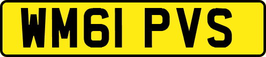 WM61PVS