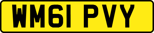 WM61PVY