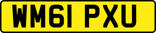 WM61PXU