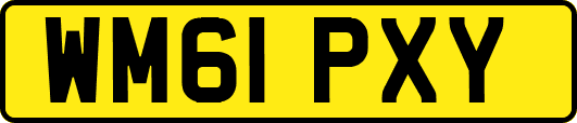 WM61PXY