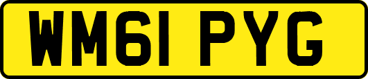 WM61PYG