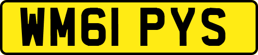 WM61PYS