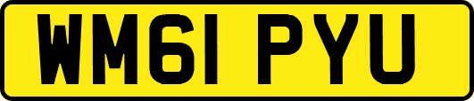 WM61PYU