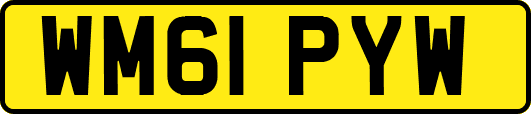 WM61PYW