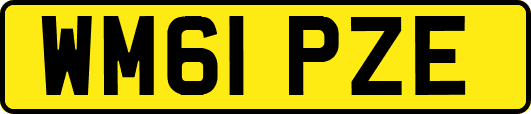 WM61PZE