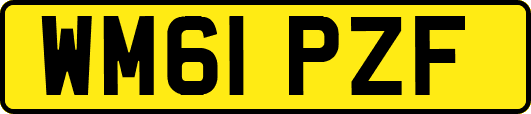 WM61PZF