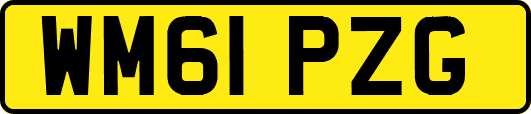 WM61PZG