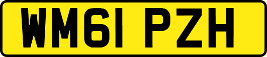 WM61PZH