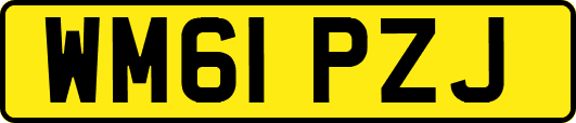 WM61PZJ