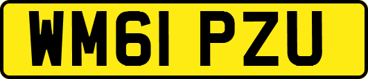WM61PZU