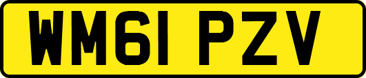 WM61PZV