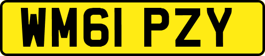 WM61PZY