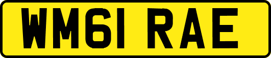 WM61RAE