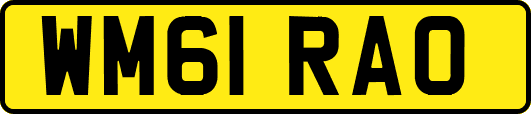 WM61RAO