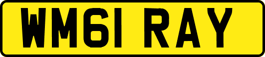 WM61RAY