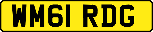 WM61RDG