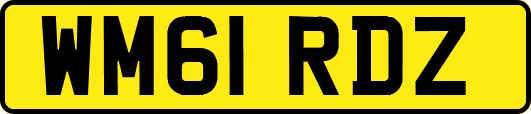 WM61RDZ