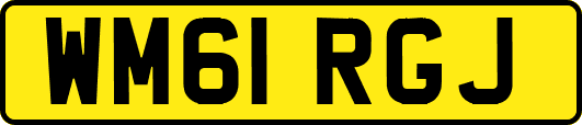 WM61RGJ