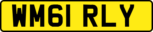 WM61RLY