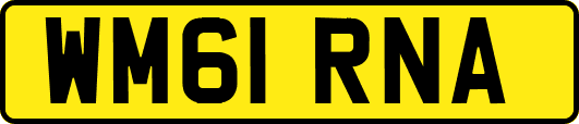 WM61RNA
