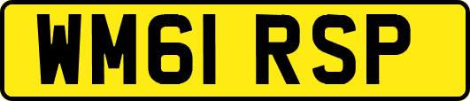 WM61RSP