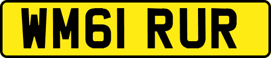 WM61RUR