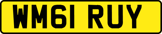 WM61RUY