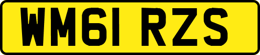 WM61RZS