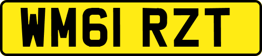 WM61RZT