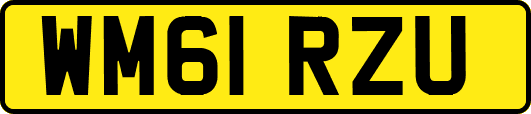 WM61RZU