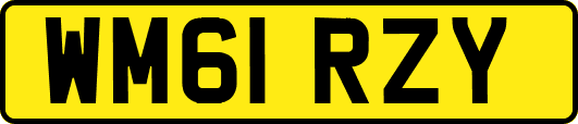 WM61RZY