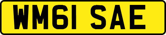 WM61SAE