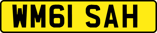 WM61SAH
