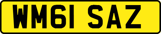 WM61SAZ