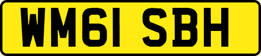 WM61SBH