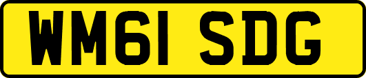 WM61SDG