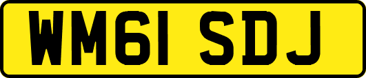 WM61SDJ