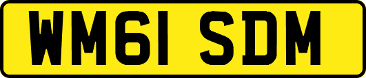 WM61SDM