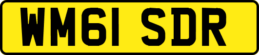 WM61SDR