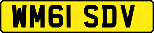 WM61SDV