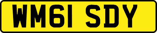 WM61SDY