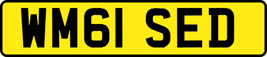 WM61SED