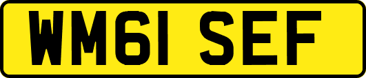 WM61SEF