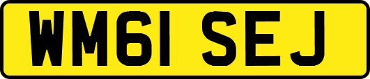 WM61SEJ
